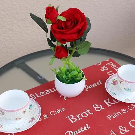 公寓 Dunja 特雷比涅